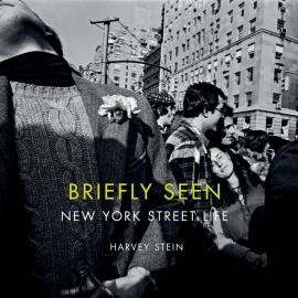 Harvey Stein: Briefly Seen - New York Street Photography