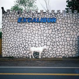 Nic Persinger: The States Project: West Virginia