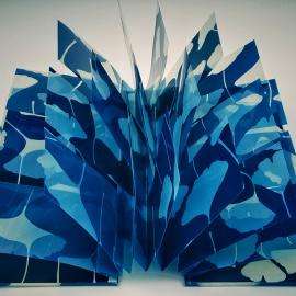 Winter Blues: Contemporary Cyanotypes at the Center for Photographic Art