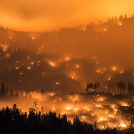Facing Fire: Art, Wildfire, and the End of Nature in the New West