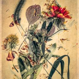 PhotoNOLA: Laurie Peek: In Lieu of Flowers