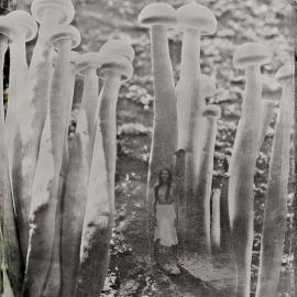 Lindsey Ross: Mushroom People