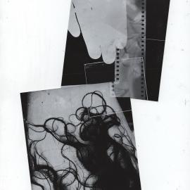 The Human Experience Through Alternative Processes: Alice Campos