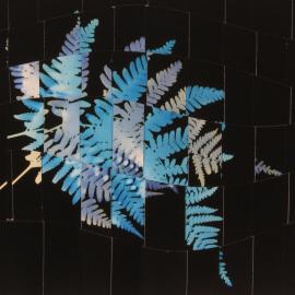 Mary Pinto: Weavings, Cut Outs, After Sandy, and Home and Garden
