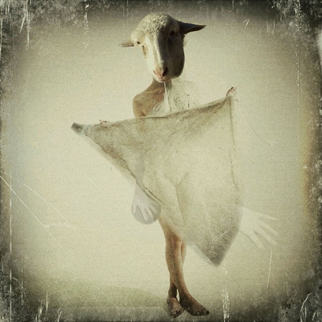 Karen_Divine-15-Sheep_Again