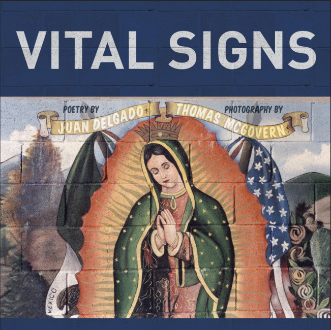 Vital Signs Book cover