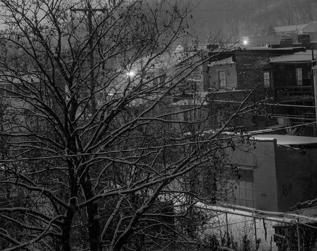 winter nocturnal scene 72x1000-2