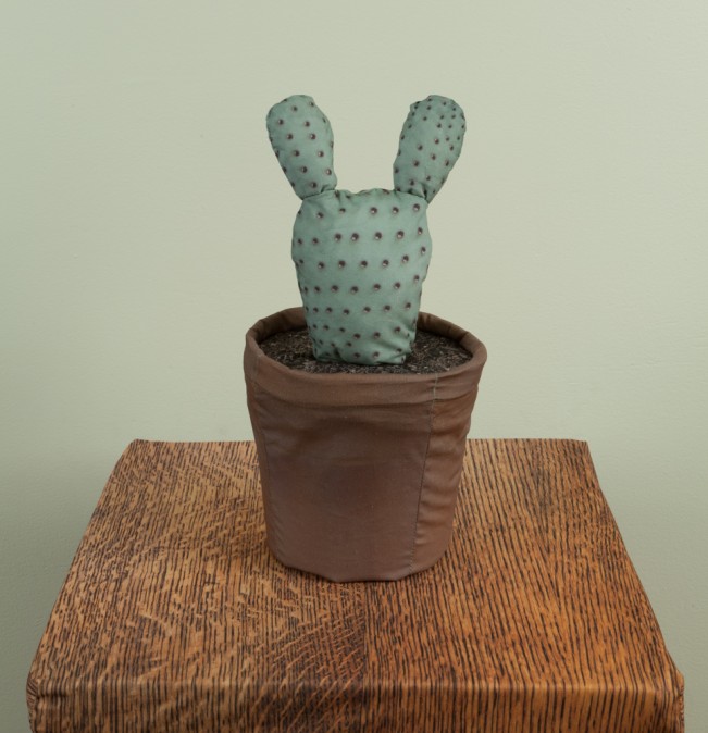 13_Keith Sharp_Prickly Pear Cactus