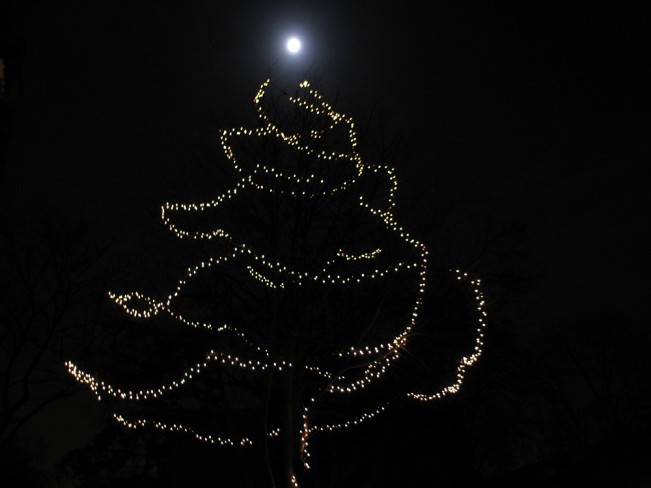 Tree Lights With Full Moon Hand Held