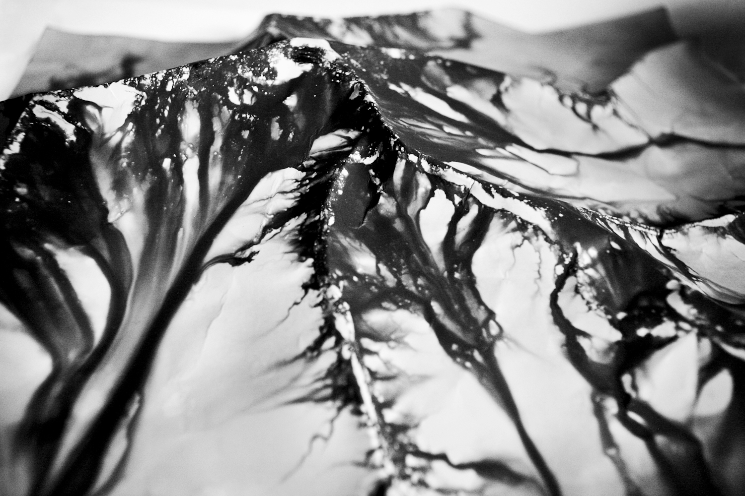 Detail of a print from Glacial Rebound © Daniel Kukla