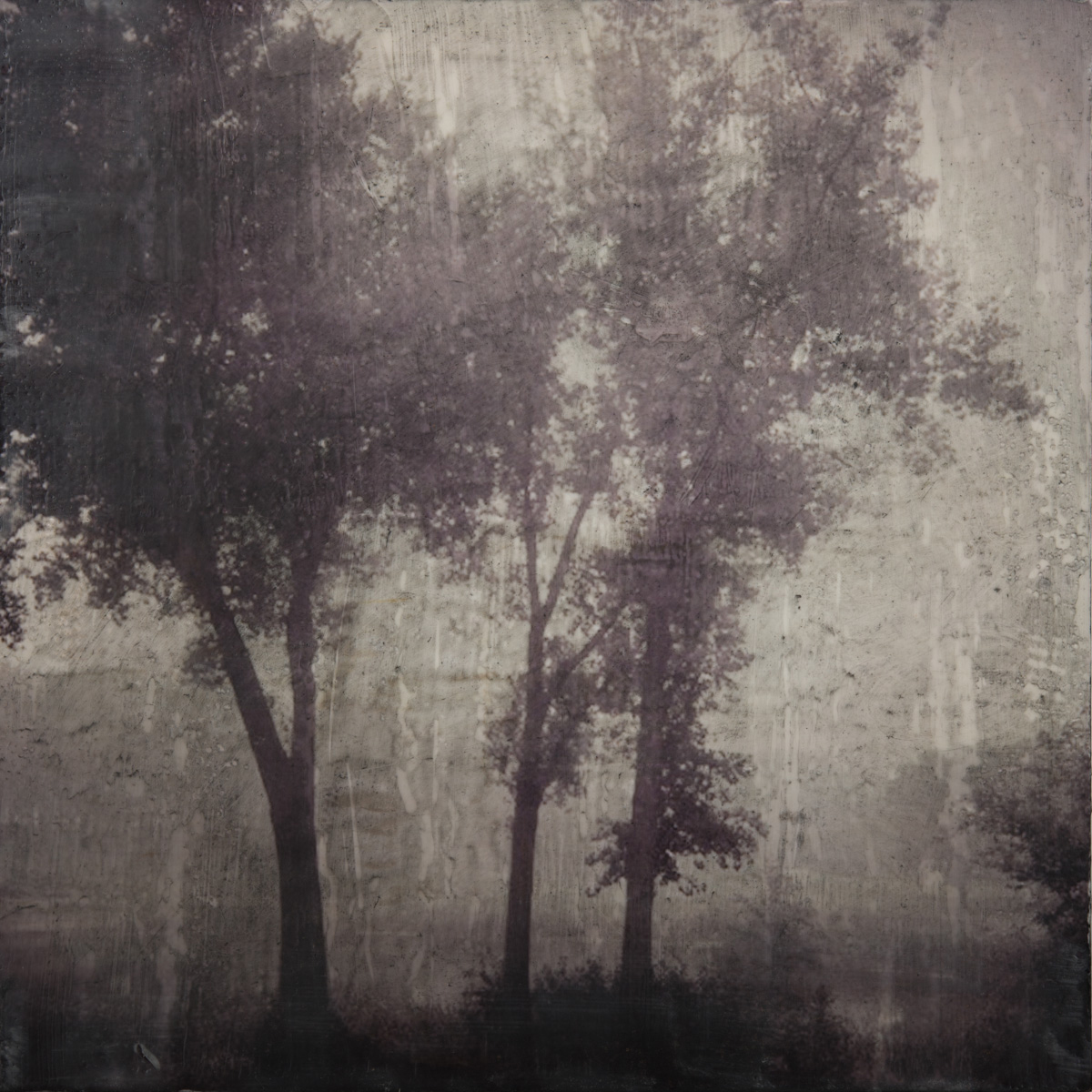 Tissue Paper Printing  Photo Encaustic with Clare O'Neill