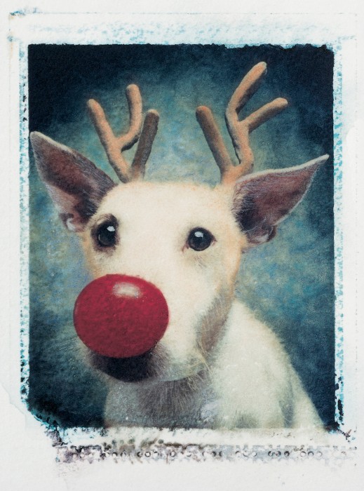 Rudolph+1990