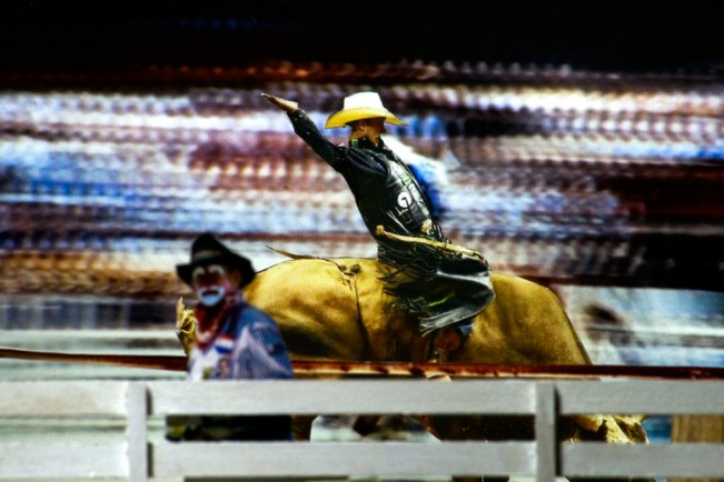 D6. cheyenne rodeo