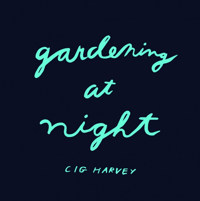 Cig Harvey: Gardening at Night - LENSCRATCH