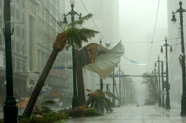 STAFF PHOTO BY TED JACKSON Palm trees bend and banners rip on Canal St. as Hurricane Katrina blows through New Orleans on Monday morning, August 29, 2005.