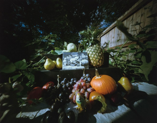 Fruits and Flowers – Homage to Roger Fenton #5, 10.28.1983