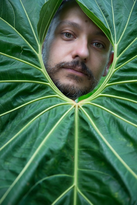 Eddie in the Anthurium Leaf