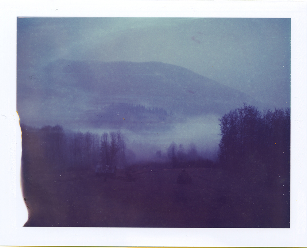 From the series 'Youthwithout age, life without Death_ 2012-2016 - expired polaroid sheet film apple hill