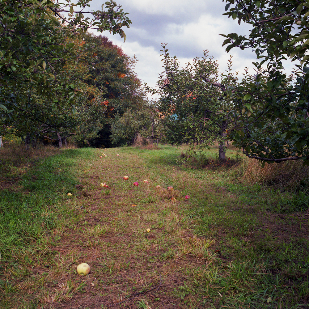 hope orchard