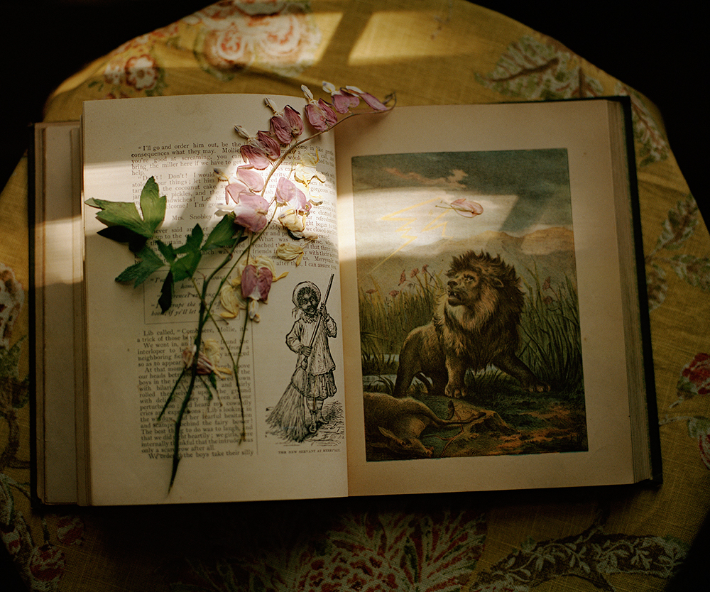 lion book pressed flower 001
