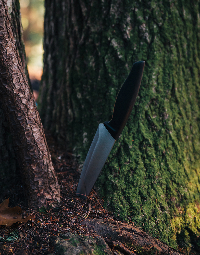 12_KNIFE_IN_THE_WOODS∏AmaniWillett
