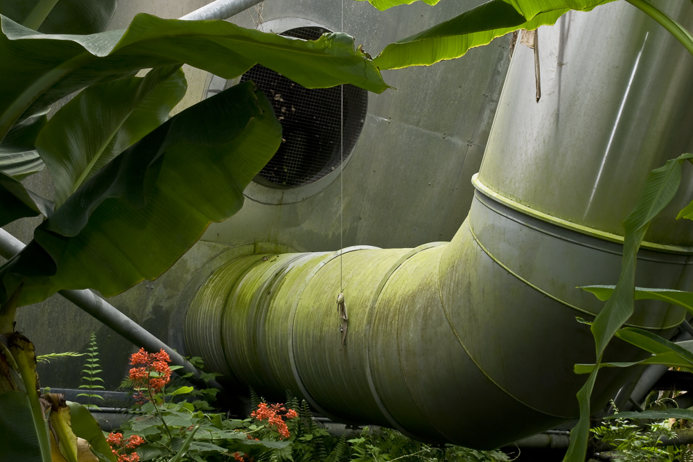 Green Ductwork, Eden Project