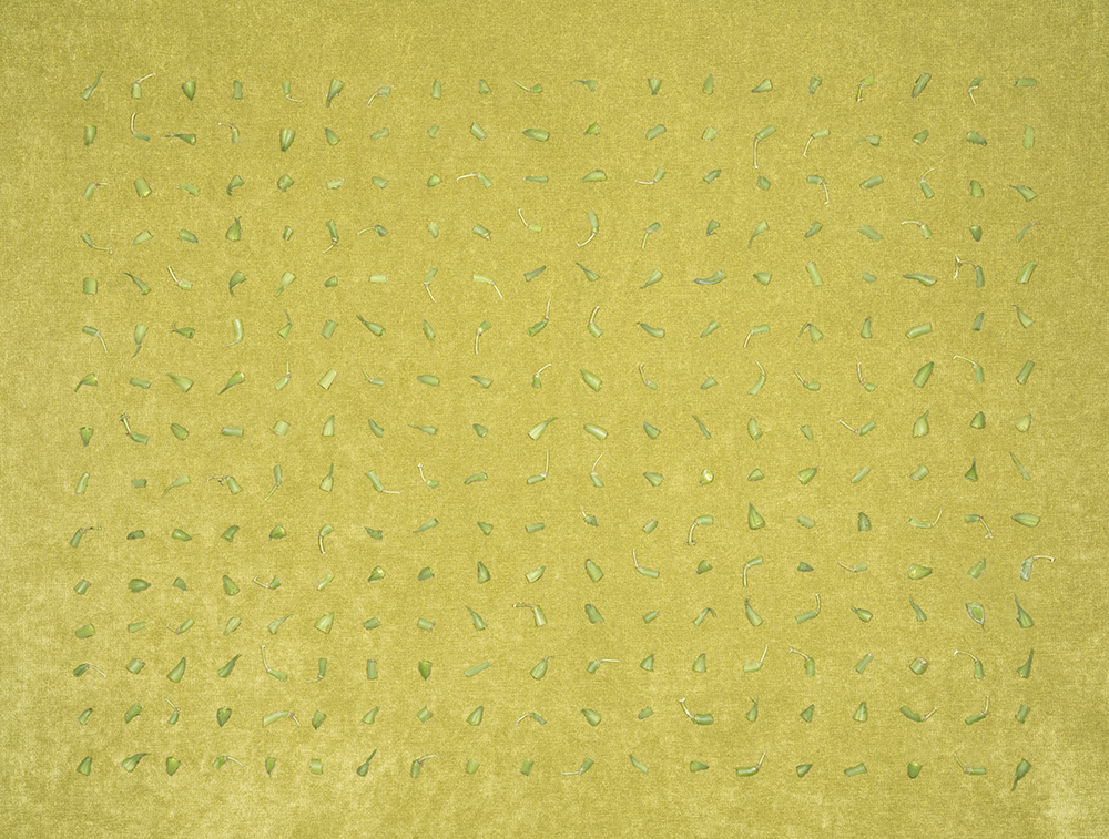 Green_Beans_On_Green_Upholstery_Fabric