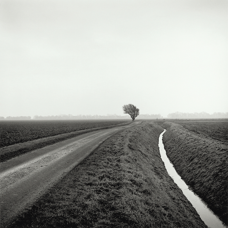 Paul Hart: Drained - LENSCRATCH
