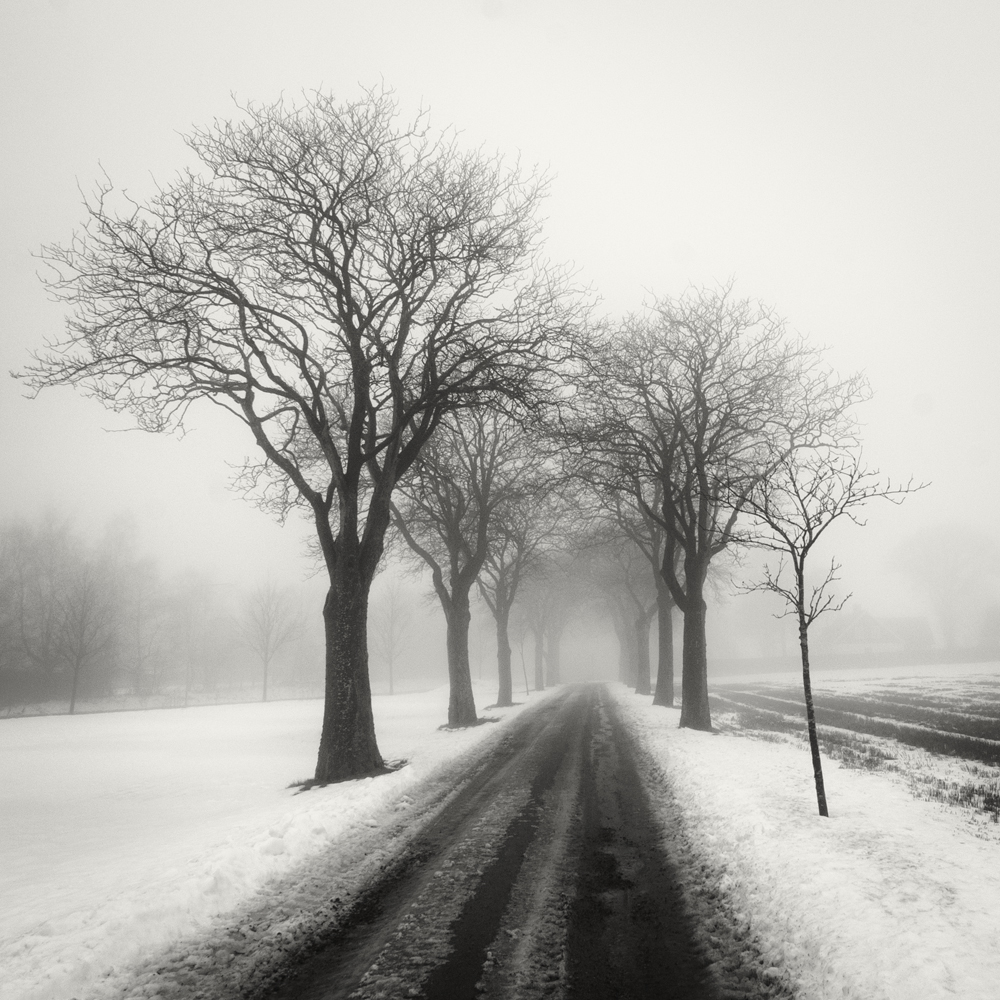 22. Fog and Snow. Sweden 2016