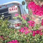 From the series, THE NATURE OF THE BEAST:
Living On the Land In Los Angeles
Part One: FLORA
Submitted ONLY for consideration to LENSCRATCH, Jan 2019