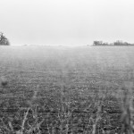 Jarek_Lenscratch_HallowedGround-1