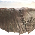 2019 Red Sand Dune, United Arab Emirates 2_2014 Dubai 12