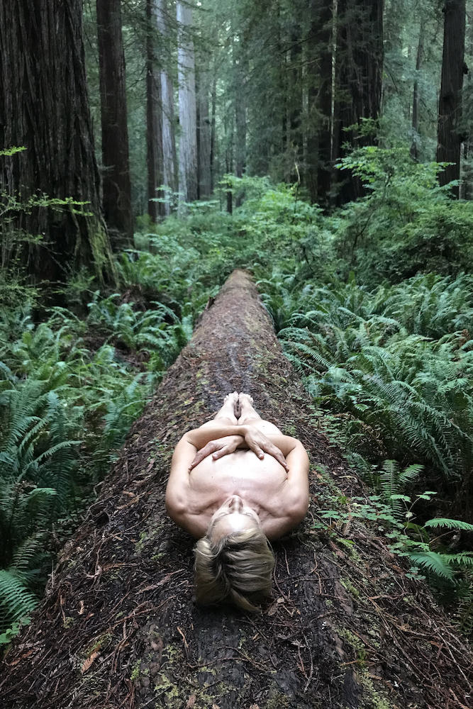 06-resting-redwoods-roxanne-darling