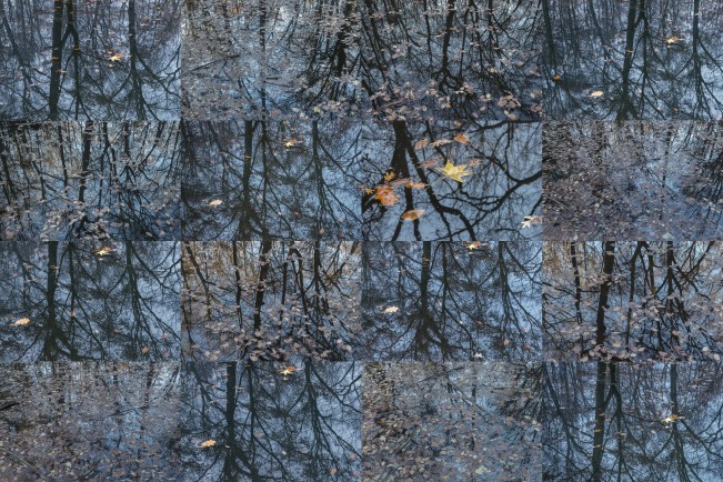 015_Huntemann Pond collage