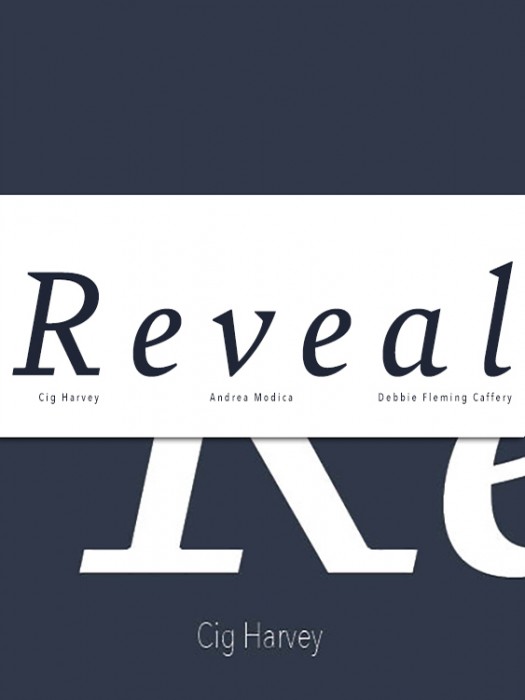Reveal cover