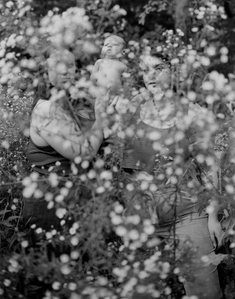 Lerman_Forrest Behind the Flowers