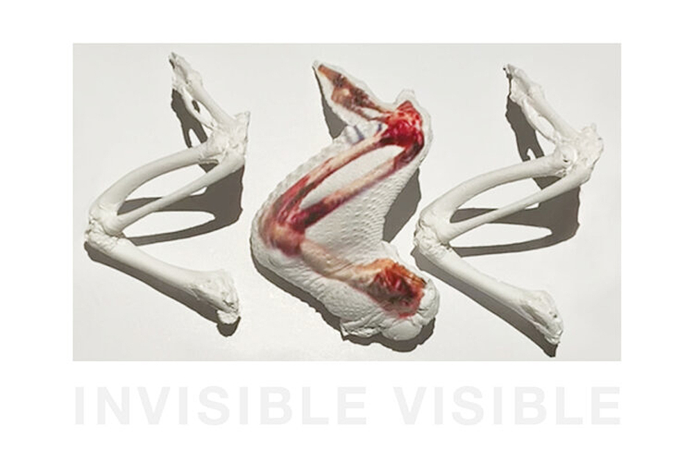 2 invisiblevisibleimage-Colleen-Plumb