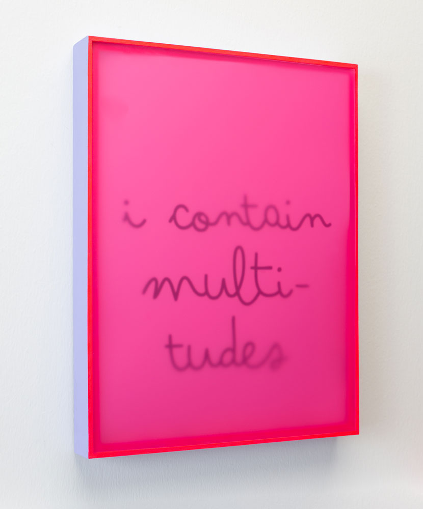 I-contain-multitudes-(side)