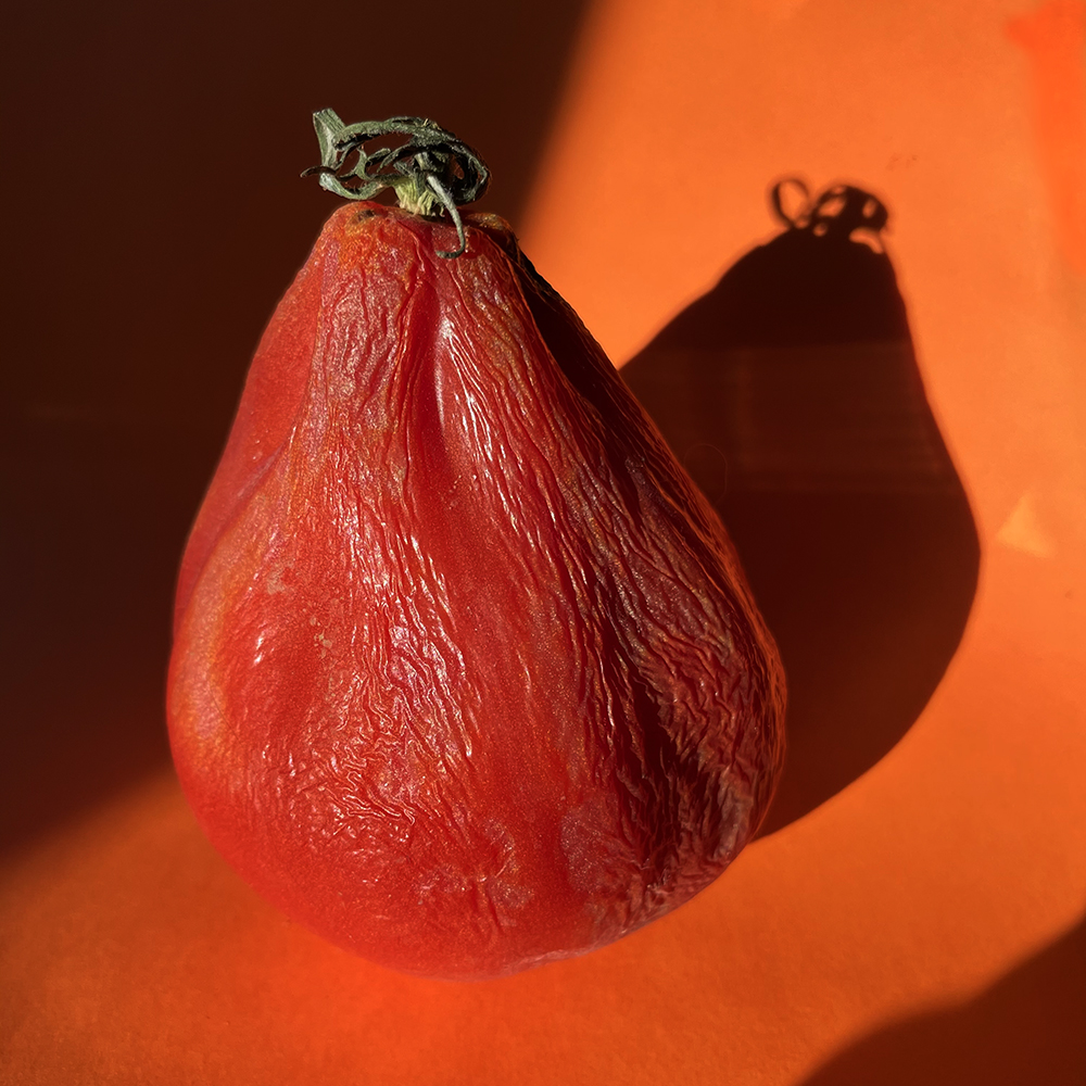 ©Joy Bush, Tortured Tomato