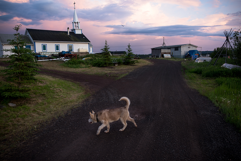 A dog walks near the Catholic Church of the Holy Family in Łutsël K’é, Northwest Territories. The church was built near the present day settlement in 19XX and moved to its current location at the tip of the penninsula - one of the tallest and most recognizable structures in the community.