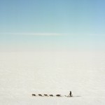 A dog team on the frozen Kotzebue Sound, photographed from the observation deck of the Nulla?vik Hotel in Kotzebue, Alaska. 2016.