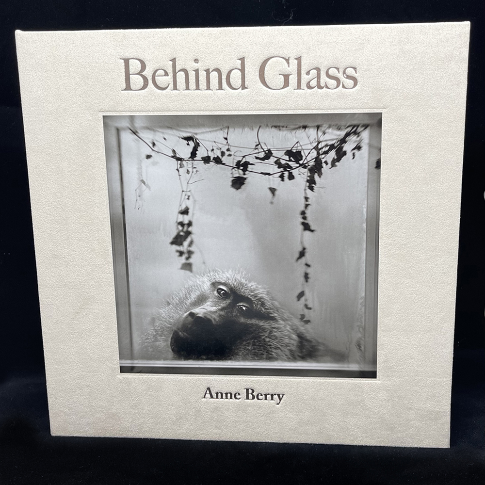 BehindGlass)cover