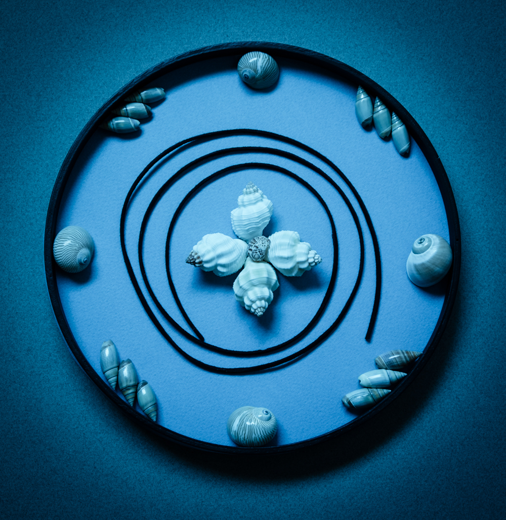 Blue Mandala (2 of 2)