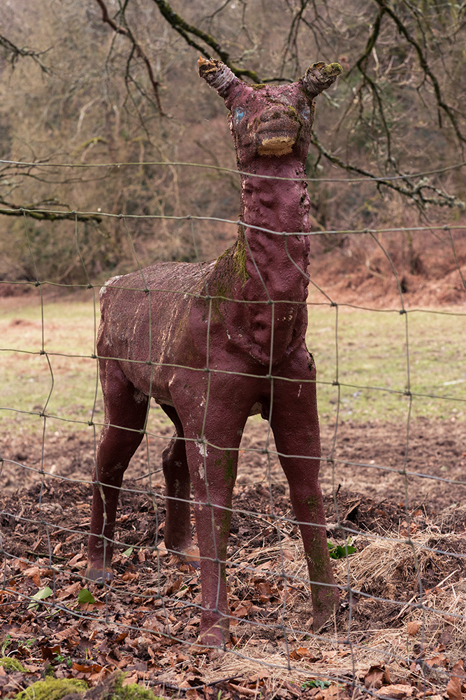 An unusual sculpture of a deer in a field in Bream, Gloucestershire