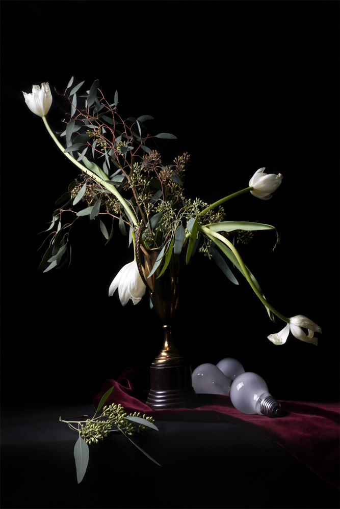 15_Rosenthal_Still Life with Trophy and Bulbs