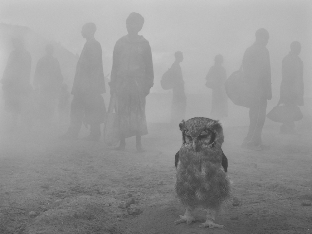 Harriet-and-people-in-fog,_Zimbabwe,-2020-2000px