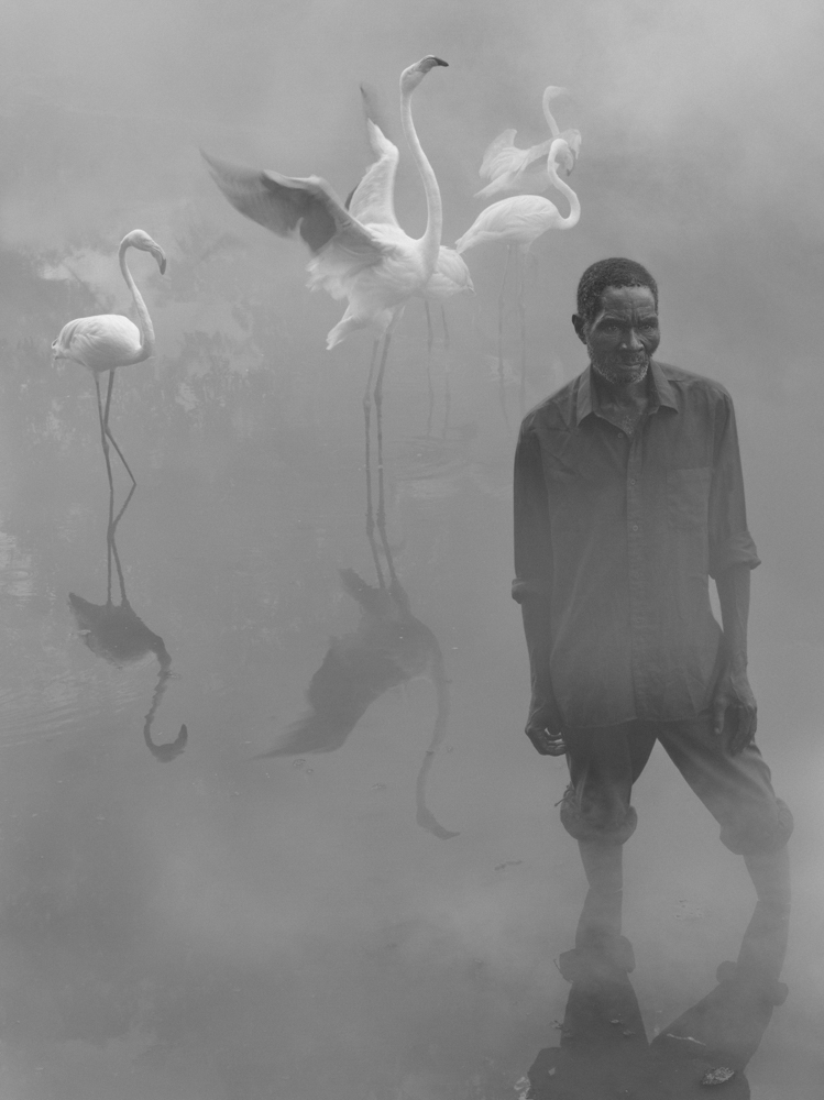 Patrick-and-Flamingos,-Zimbabwe,-2020-2000px