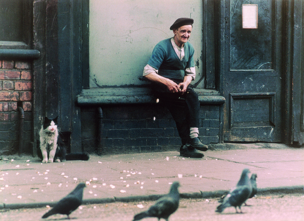 An elderly man feeds the pigeons on the street in Hulme, Manchester. Photograph by Shirley Baker     Date: 1965