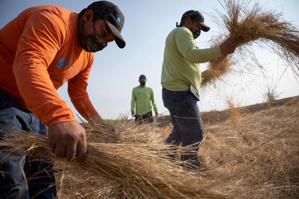Employees of The Raincatcher spread straw from native grasses over an area that has been seeded with wildflowers and grasses in the Las Terrazas subdivision in Santa Fe, New Mexico.