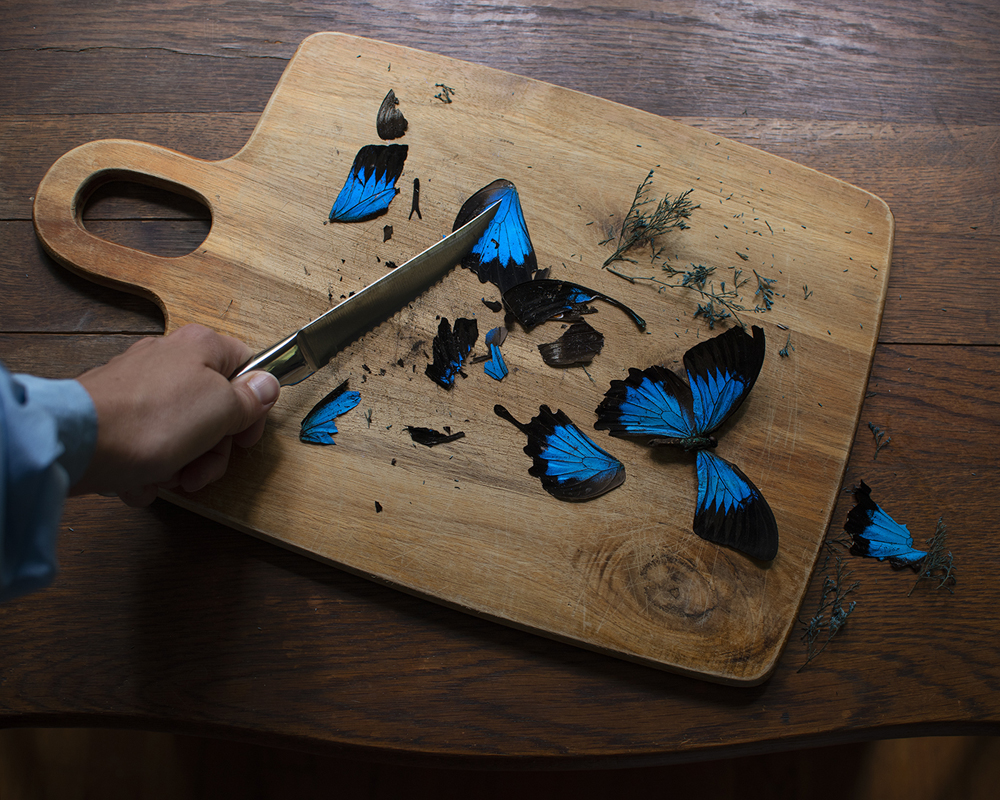 cutting board with butterflies